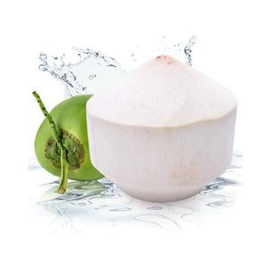 Proveedor de Vietnam, Coco Joven Orgánico en Cáscara Completa, Grado A, Corte Diamante, 100% Natural para Exportación - Product Image 2