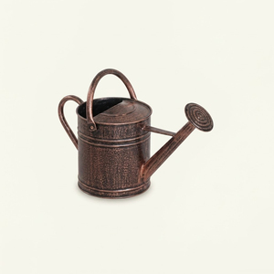 Wholesale Durable Galvanized Metal Watering Can With Wooden Handle Large Capacity Vintage Style Rust-Resistant <b>Garden</b> Water Pot - Product Image 2