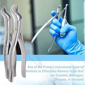 Pinzas manuales de extracción dental Accuram de acero inoxidable para raíces inferiores, instrumento para extracción de raíces duras, pinza de extracción dental - Product Image 3