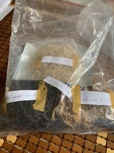 Nori naturel cru, torréfié, biologique, sauvage et frais en sachet pour smoothies et boissons - Product Image 5