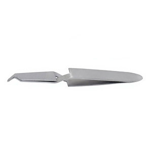 Dental <b>Bracket</b> Holding Tweezer Orthodontic <b>Bracket</b> Placing Direct Bond Holder German Stainless Steel Precision Dental Instrument - Product Image 5