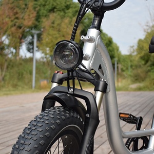 RaiderRunner-34F le <span class=keywords><strong>meilleur</strong></span> vélo Cargo électrique 20 pouces 750W 48V vélo électrique à gros pneus, vélo de ville électrique pour les familles - Product Image 4