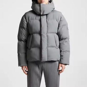 Chaqueta de Plumón Gris para Hombre, con Capucha, Cierre de Cremallera, Color Sólido, Gruesa, para Invierno, Corte Regular, Largo Corto - Product Image 1