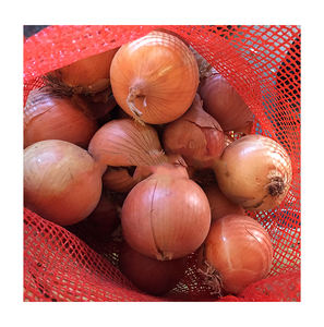 ต้นหอมสีแดงสดจากอินเดียมหาราชอินเดียต้นหอมอินเดีย - Product Image 1