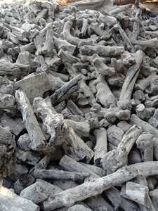 Carbón blanco Binchotan vietnamita de alta calidad para barbacoa para Hookah, carbón blanco sin humo, Exportación a Corea, Japón - Product Image 5