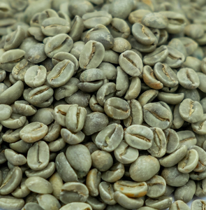 เมล็ดกาแฟโรบัสต้าสีเขียวคุณภาพสูง พร้อมส่ง ขายส่ง ปริมาณมาก คุณภาพพรีเมียม สำหรับส่งออก - Product Image 5
