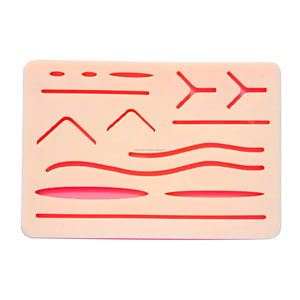 Kit de Práctica de Sutura para Escuelas y Universidades de Medicina, Instrumentos de Acero Inoxidable con Certificación CE ISO, OEM ODM - Product Image 2