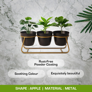 Macetero de Metal Contemporáneo con Soporte de Hierro, Maceta Elevada Decorativa para Plantas de Interior, Hogar Moderno - Product Image 5