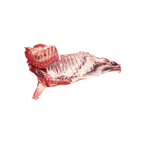 Frozen beef hindquarter cuts available for bulk export worldwide - Product Image 1