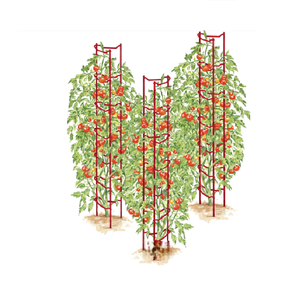 Juego de 3 Soportes para Plantas de Tomate - Product Image 5