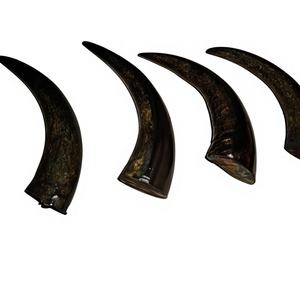 Montura de Gafas de Cuerno de Búfalo Natural Tallado a Medida, Estilo Náutico Animal Negro Crudo para Proyectos, Marca Musical B.S. - Product Image 3