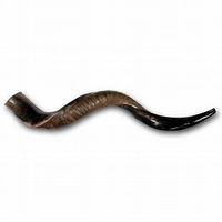 Shofar en corne de buffle fait main de haute qualité, écologique, design moderne et traditionnel, pour usage religieux, artisanat intemporel