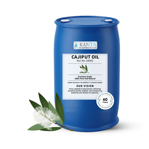 Aceite Esencial de Cajuput de la Mejor Calidad, Melaleuca cajuputi, Aceite Esencial Botánico Puro, Fabricante, Proveedor, Exportador, Venta al Por Mayor - Product Image 3