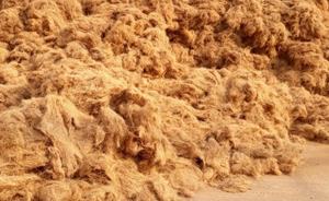 Offre Spéciale 2025 Fibre de Coco de Haute Qualité Vietnam Brun Doré Brunâtre Palette de 100 kg Meilleur Prix Litière pour Animaux Vietseafarm VSF-CF12 - Product Image 6