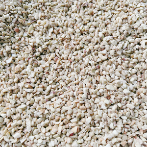 Wholesale In Bulk Split Cashews SANTIGO Kaju Badam Broken Cashew <b>Nuts</b> <b>Kernels</b> Service 24/7 - Product Image 4