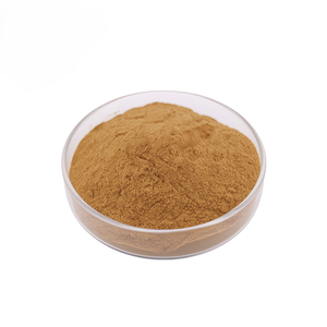 High Quality Bulk Wild Cosmetic Grade Saw Palmetto Herbal <b>Extract</b> Powder for Hair Care & Anti-Hair Loss Drum Packaging India - Product Image 2