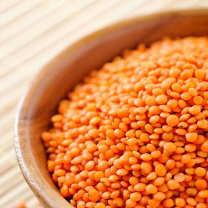 Lentejas Rojas Naturales Desgranadas, Masoor Dal, Origen Telangana, Vida Útil de 12 a 18 Meses, Empaque a Granel, Exportación de Alimentos, Saanvisha Global - Product Image 6