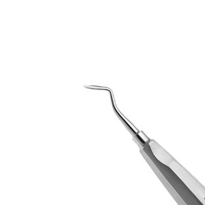 Nouvel élévateur dentaire manuel droitier en acier pour extraction de racines, outil d'extraction dentaire à prix abordable - Product Image 4