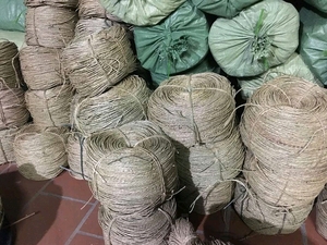 Fabricant vietnamien de fibres naturelles de jonc de mer séchées pour l'artisanat et le tissage, fournisseur en gros, exportateur - Product Image 3