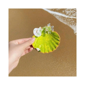 เปลือกหอยเชลล์สำหรับงานศิลปะทำมือ งานฝีมือ DIY และงานตกแต่งสร้างสรรค์ - Product Image 3