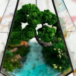Terrarium en verre géométrique avec arbre style bonsaï et paysage aquatique, décoration de table intérieure pour la maison, le bureau et les cadeaux - Product Image 2