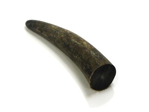 Natural Eco-Friendly Buffalo Horn Polished Tip Rustic Modern Design High Quality Black - Product Image 2