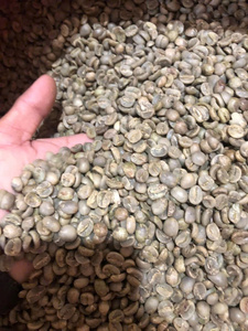 WHOLESALE ROASTED ARABICA <b>COFFEE</b> VIETNAM | LIGHT & MEDIUM ROAST | TOP QUALITY SINGLE ORIGIN SPECIALTY - Product Image 4