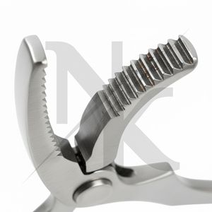 Nuevo Lanzamiento: Herramienta de Herrador de Acero Inoxidable Duradero y Resistente a la Corrosión para el Cuidado Profesional de Caballos - Product Image 3