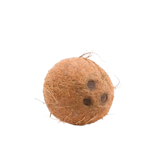 Noix de coco naturelle semi-décortiquée, noix de coco fraîche mûre avec eau, 100% biologique, export en vrac à prix d'usine - Product Image 1