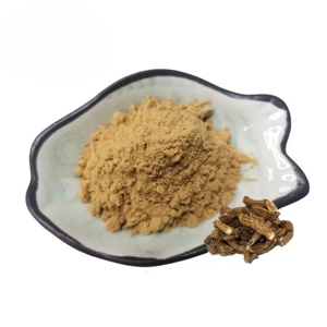 ผงรากคอสตัสพรีเมียมขายดีที่สุด 100% บริสุทธิ์และเป็นธรรมชาติ ผงสมุนไพรคอสตัสสำหรับชงชา สมูทตี้ และส่วนผสมซูเปอร์ฟู้ด - Product Image 4