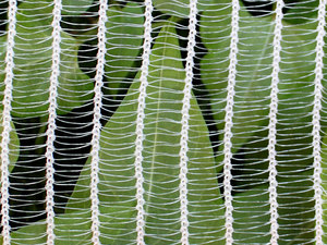Malla plástica transparente de grado industrial, red antigranizo, rollo de malla plástica extruida, malla plástica de protección contra granizo - Product Image 6