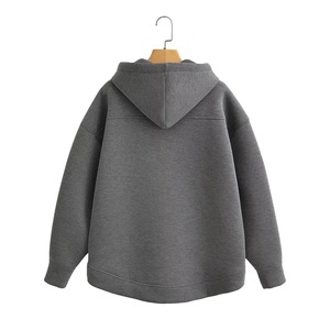 Sweat-shirts à capuche unisexes en molleton épais doublé microfibre, personnalisables avec logo, grandes tailles pour hommes, collection automne - Product Image 3