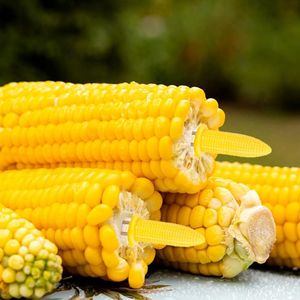 Set di 16 Porta Mais in Acciaio Inox e 8 Piatti per Mais su Spina, Utensili per Carne e Pollame - Product Image 4