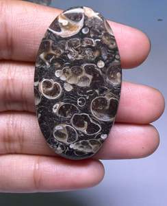 Lote al por mayor de cabujones de ágata TURRITELLA por peso con diferentes formas y tamaños utilizados para la fabricación de joyas, piedra TURRITELLA - Product Image 4