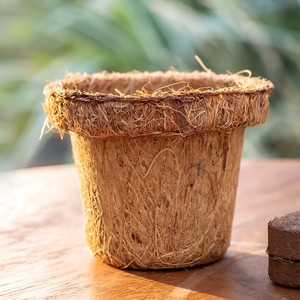 Hydroponic <b>plant</b> pots cheapest price coconut coir pot producer supply coco fiber seedling <b>basket</b> - Product Image 2