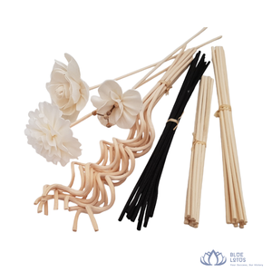 [MEILLEURES VENTES] Bâtonnets diffuseurs en rotin durable Blue Lotus, recharge d'huile parfumée, désodorisant d'ambiance, modèle Vivian Vo Export - Product Image 1