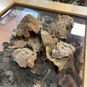 Cáscaras de Agarwood Natural Descomprimido al por Mayor, Char Oud con Alto Contenido de Aceite para Incienso Premium y Ceremonia del Té - Product Image 3