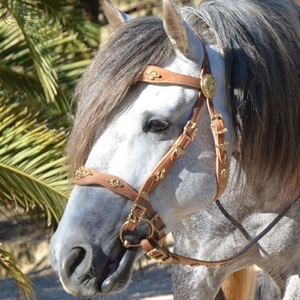 Poney de bride de style occidental sculpté à la main, épi, plein - France