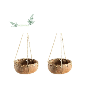 Sustainable Coconut <b>Shell</b> Pot Plant - Natural Coconut Flower Pot - Coconut Hanging Pots Gardening Supply By Eco2go Vietnam - Product Image 1