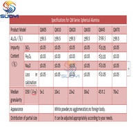 Poudre d'alumine sphérique à haute dureté Al2O3 pour pulvérisation thermique APS, revêtements anti-corrosion pour équipements industriels