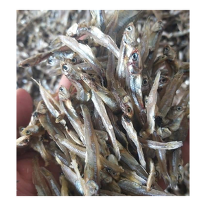 Anchois entiers séchés 3-9cm salés faiblement salés Grade A riches en protéines pour base de soupe coréenne Cuisine asiatique Export Vietnam Sac - Product Image 4