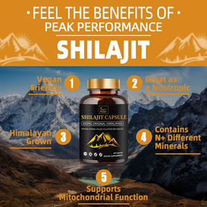 100% Pure Private <b>Label</b> Himalayan Shilajit Extract Capsule 500mg Natural Shilajit Capsule for Energy Boost & Immune Support - Product Image 4