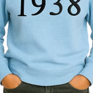 Sudadera para Niñas, Color Azul Claro, con Bordado 3D, Estilo Casual, Manga Larga, Cómoda para el Día a Día - Product Image 5