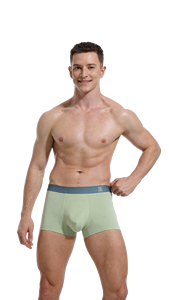 Caleçons boxers sans coutures pour hommes, taille mi-haute, tricotés, couleur unie, antibactériens, respirants, séchage rapide, usage quotidien - Product Image 4
