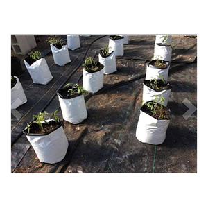 Sacs de culture durables pour légumes, herbes, fleurs, semis et applications de jardinage en pot - Product Image 6