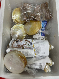 ถาดเปลือกหอยมุกธรรมชาติขัดเงา จานใส่ไข่ปลาคาเวียร์ งานฝีมือประณีต ของขวัญสุดหรู ขายส่ง - Product Image 5