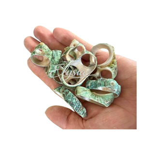 Tranches de coquillages naturels de qualité supérieure, pièces de coquillages papillon pour artisanat, accessoires faits à la main pour la création de fleurs DIY, fournitures décoratives - Product Image 6