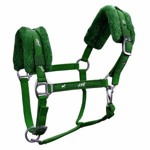 MH Global Exports MH-HL-31 Halter pour cheval en PP et nylon, couleurs rouge, noir, bleu, avec ferrures en cuir de mouton et laiton - Product Image 5