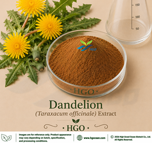 Extrait de pissenlit (Taraxacum officinale F.H.Wigg.) fourni directement par l'usine HGO (Aliments santé de qualité alimentaire) 4:1 5:1 10:1 20:1 100:1 200:1 - Product Image 1