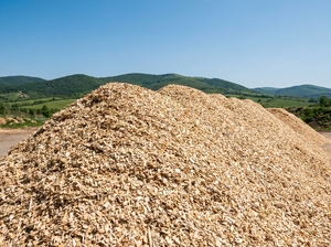 Copeaux de bois d'acacia naturel en vrac, combustible biomasse fabriqué à partir d'acacia pour chaudières industrielles, production de MDF, usines de papier - Product Image 4